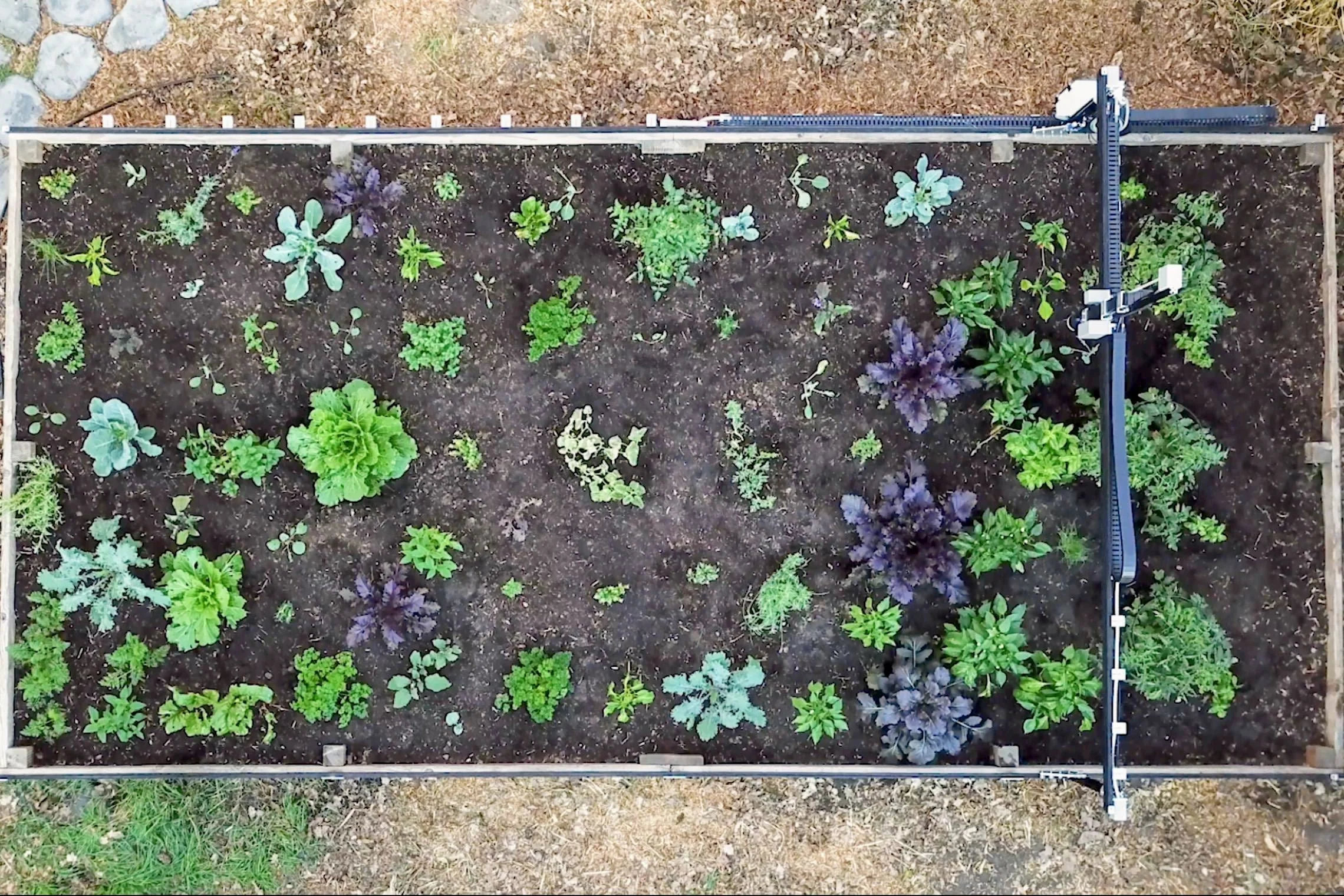 FarmBot Genesis XL v1.8 - Image 6